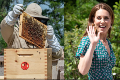 kate middleton beekeeping hobby