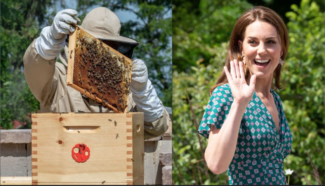 kate middleton beekeeping hobby